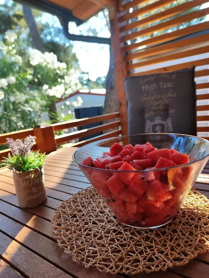 Rose Pb -Mobile Home Biograd Na Moru